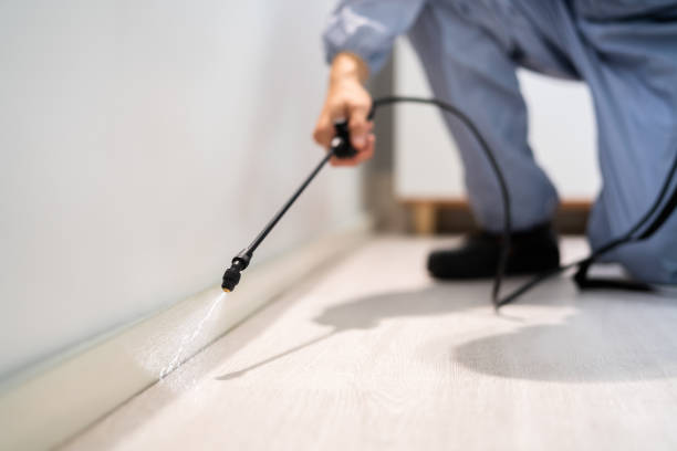 Licensed Termite Control service in Onancock, VA - Nex Pest Control