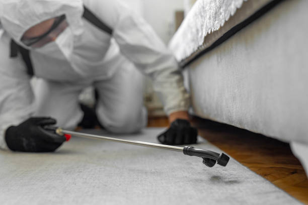 Professional Termite Control technician working in Onancock, VA