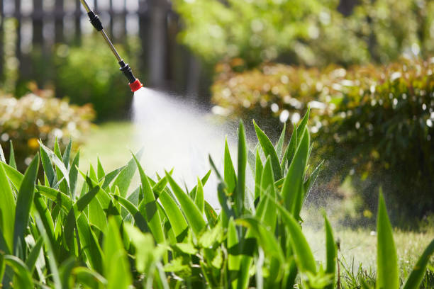 24/7 Emergency Termite Control experts in Onancock, VA