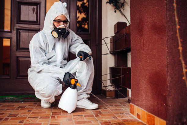 Reliable Termite Control contractor in Onancock, VA by Nex Pest Control