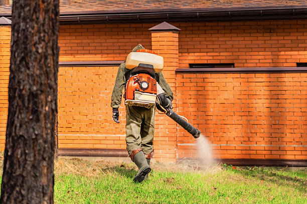 Top rated local Termite Control specialists in Onancock, VA